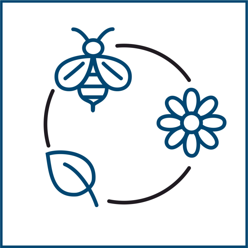 Piktogramm eines Kreises mit Blatt, Blüte und Insekt