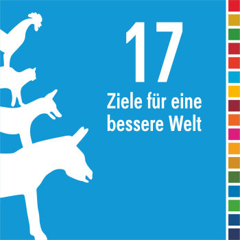 Piktogramm: Auf hellblauem Untergrund links weiß die Bremer Stadtmusikanten. Rechts daneben der Text "17 Ziele für eine bessere Welt" und ganz rechts eine schmale Spalte mit 17 Quadraten in den Farben der SDGs.